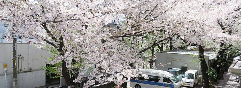 東京武蔵野ホーム