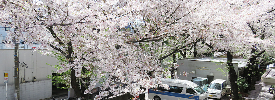 東京武蔵野ホーム