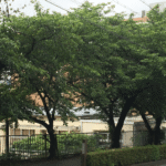 特別養護老人ホームぐろ～りあ｜伊丹市兵庫県伊丹市北園1丁目19番1在宅複合型施設ぐろ～りあの地域密着型介護付き有料老人ホームの写真
