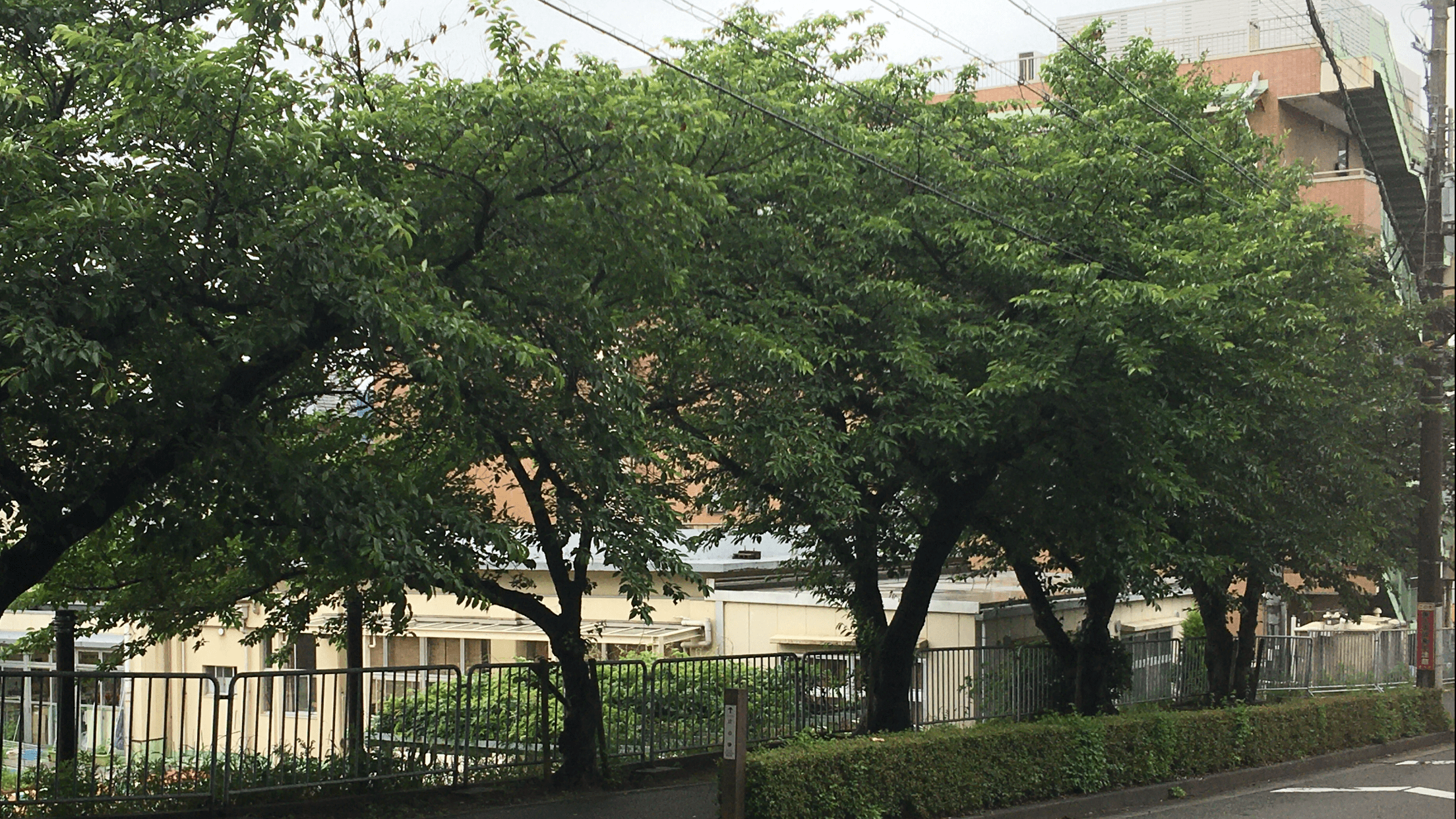特別養護老人ホームぐろ～りあ