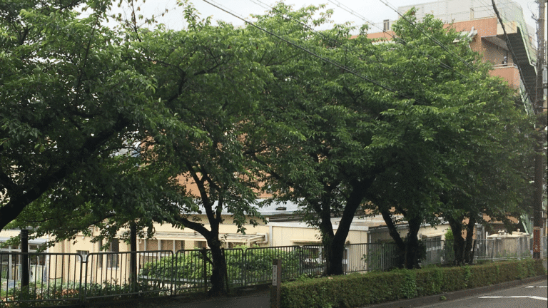 特別養護老人ホームぐろ～りあ