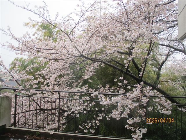 特別養護老人ホーム　うさみの園