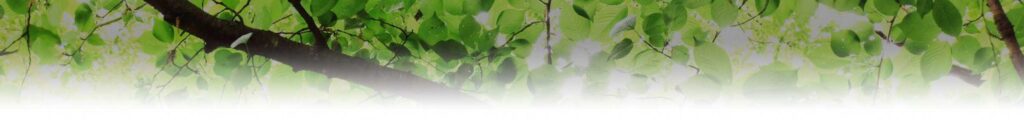 特別養護老人ホーム野菊