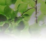 特別養護老人ホーム野菊 見学予約・空室状況の写真