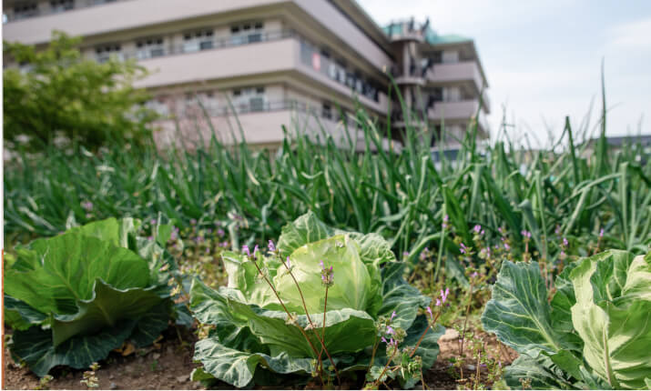 特別養護老人ホーム韮山・ぶなの森