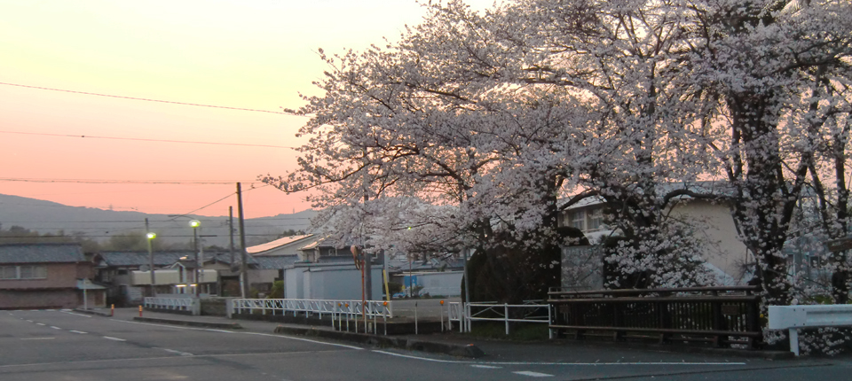 大東苑