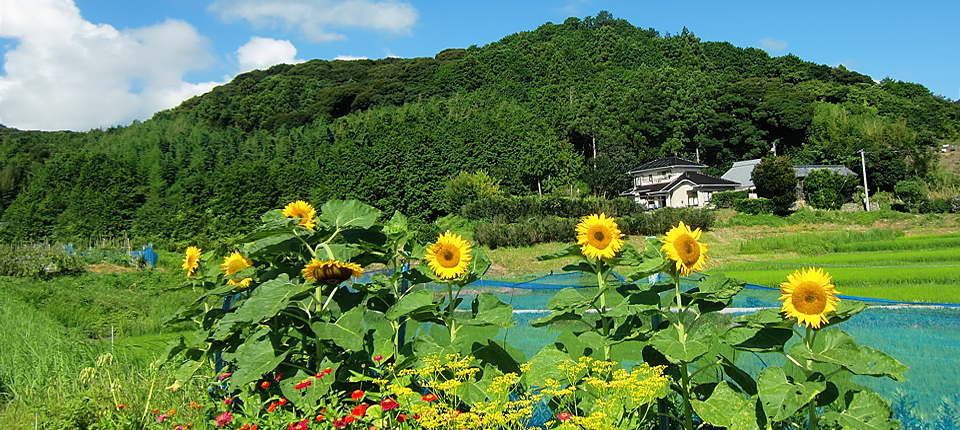 大東苑