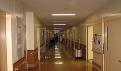 特別養護老人ホーム　第二稲穂園