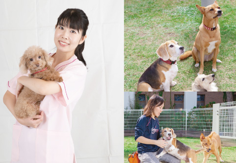 アプルール材木座