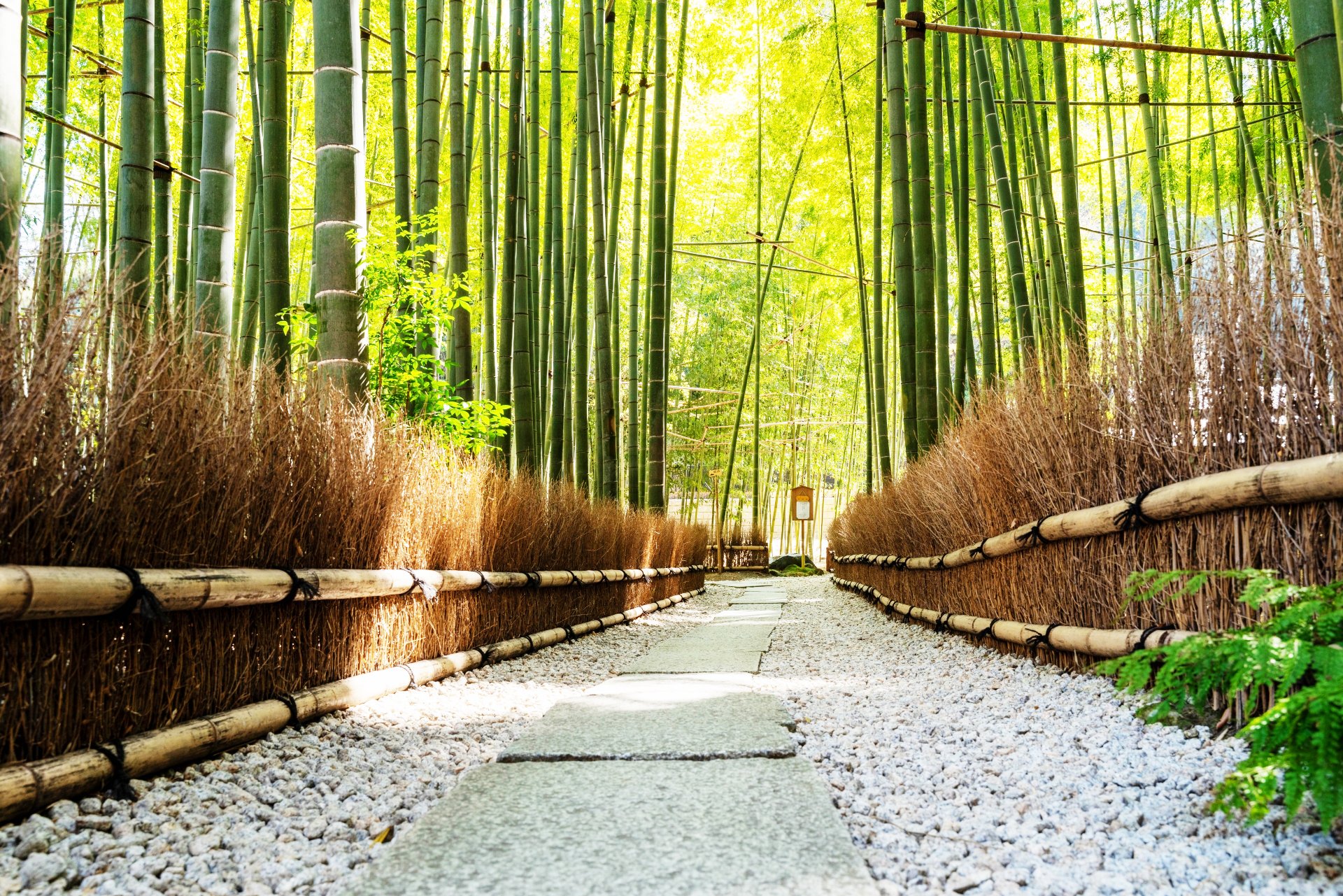 あいらの杜鎌倉浄明寺