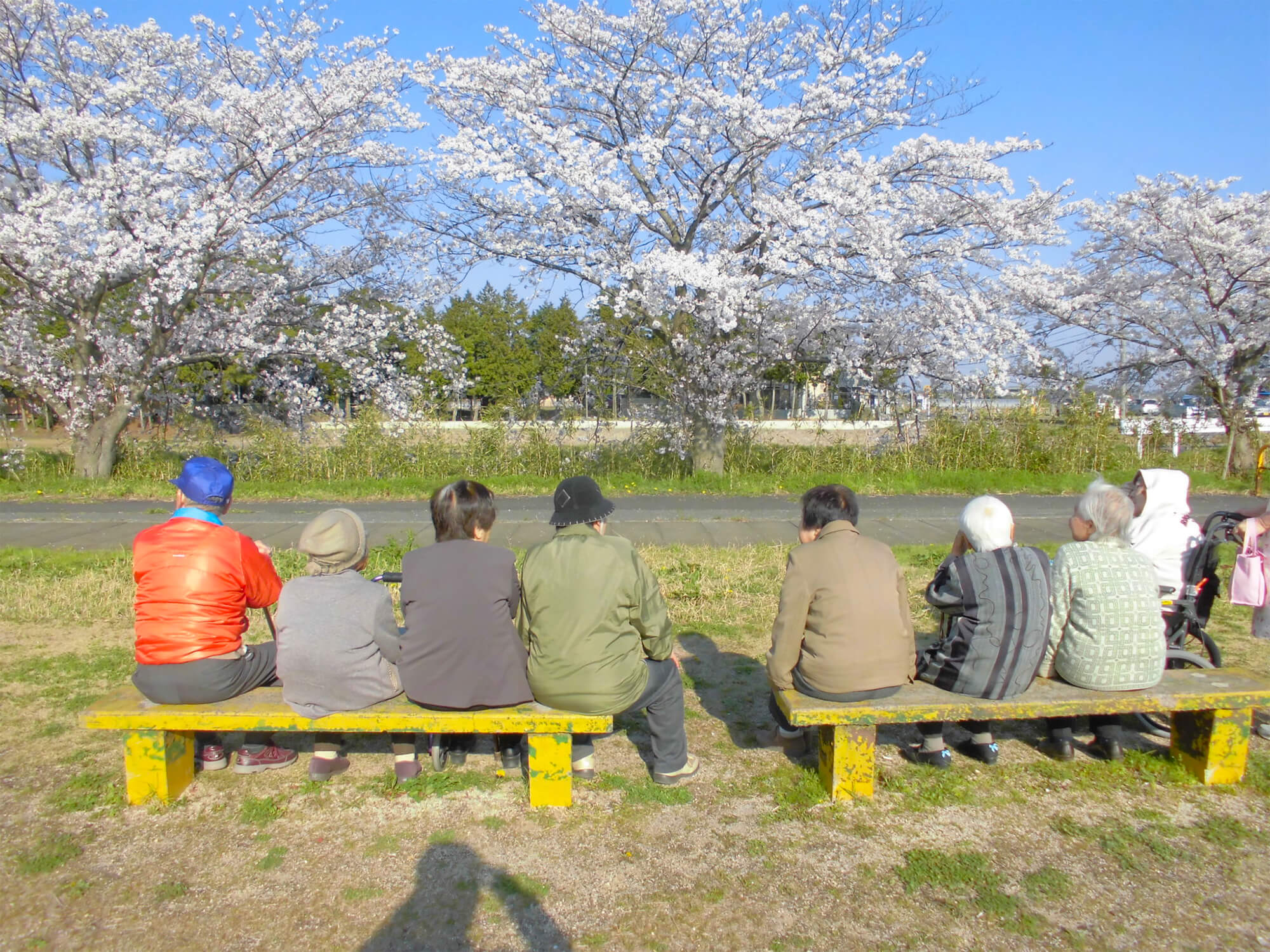 特別養護老人ホーム　庄和和合