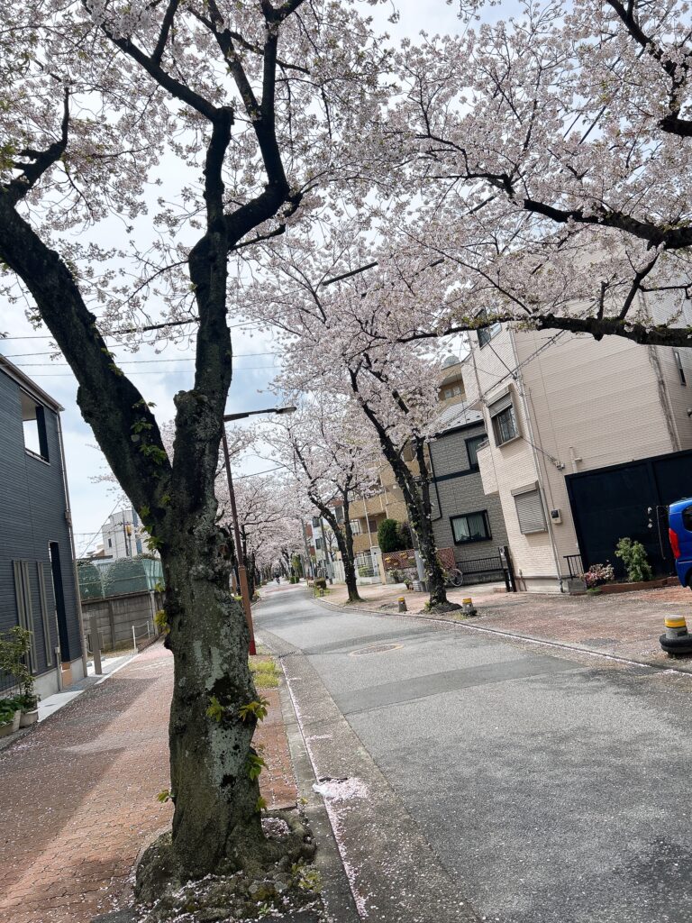 東四つ木ほほえみの里