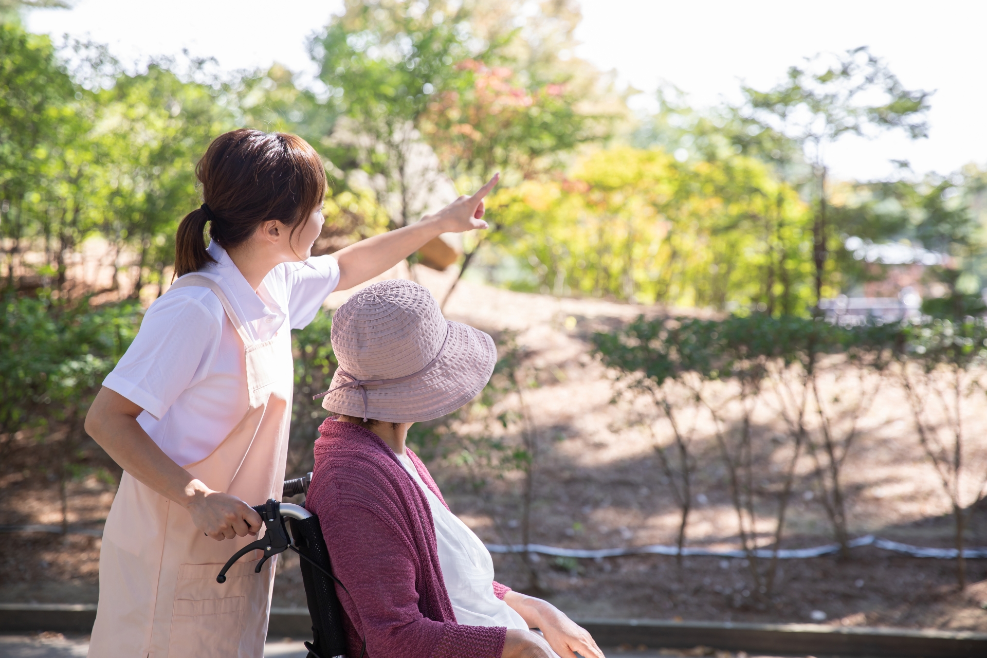 第二奥戸くつろぎの郷