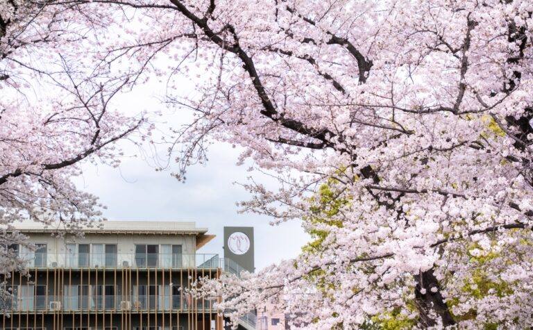 介護老人福祉施設　マッシーテラス