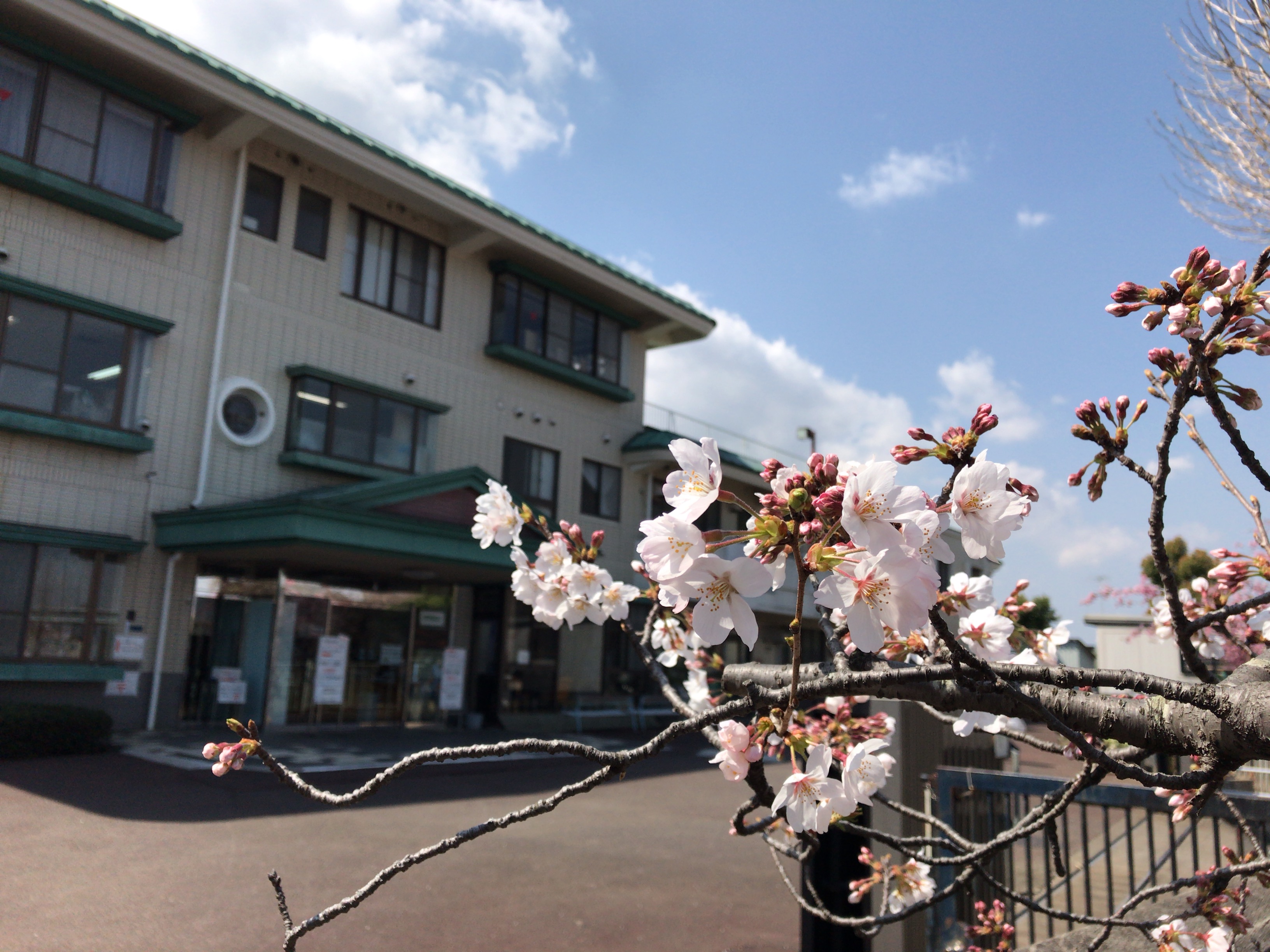 特別養護老人ホーム 柿生アルナ園