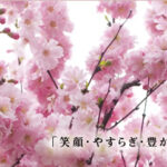 社会福祉法人セイワ　介護老人福祉施設桜寿園｜川崎市川崎区神奈川県川崎市川崎区桜本2-39-4の介護付き有料老人ホームの写真