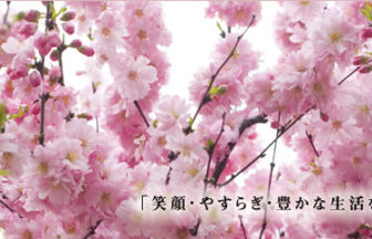 社会福祉法人セイワ　介護老人福祉施設桜寿園