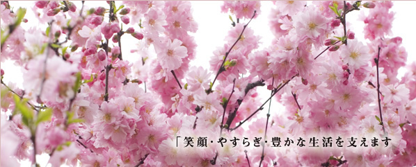 社会福祉法人セイワ　介護老人福祉施設桜寿園
