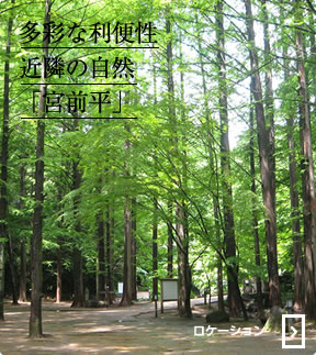 カーサプラチナ宮前平