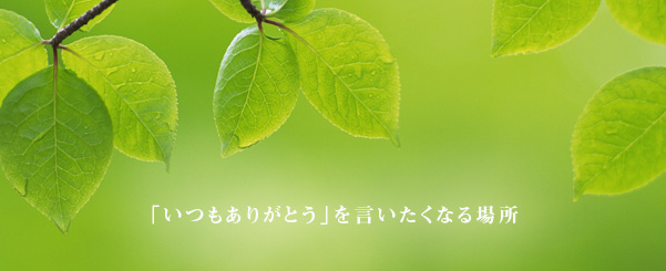 社会福祉法人セイワ　介護老人福祉施設みやうち