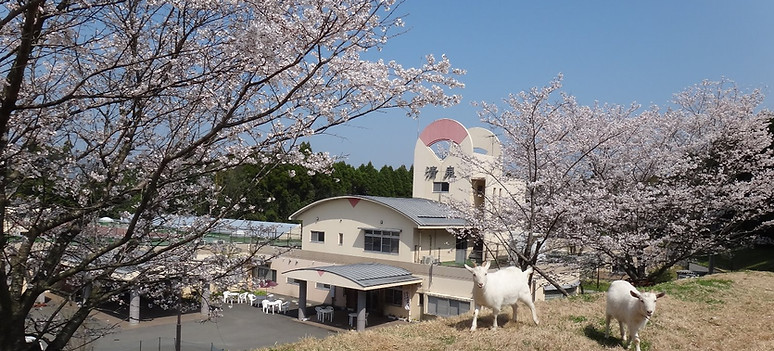 グループホーム清泉