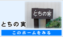 ぶなの実