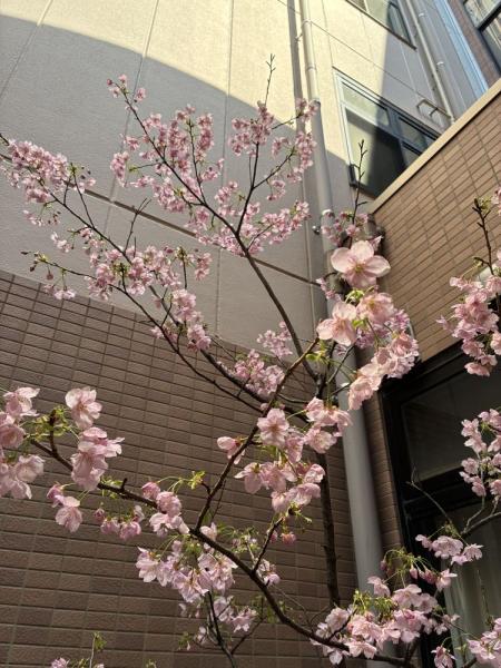 足原のぞみ苑 ユニット