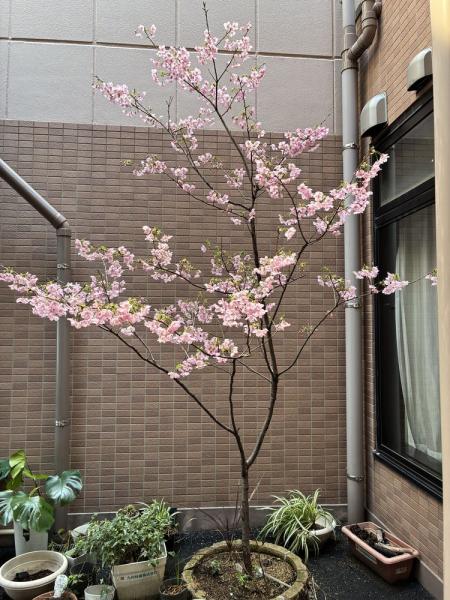 足原のぞみ苑 ユニット