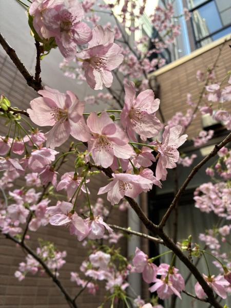 足原のぞみ苑 ユニット