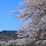 北九州市立特別養護老人ホームかざし園｜北九州市門司区福岡県北九州市門司区南本町３－３の介護付き有料老人ホームの写真
