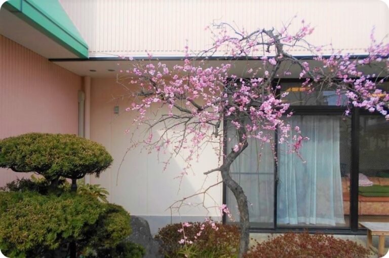 グループホーム ももの花