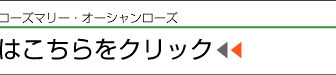 グループホーム　ちゅうりっぷ