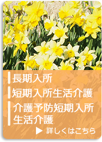 特別養護老人ホーム　白鳥苑