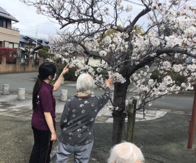 グループホーム　さくら苑弐番館
