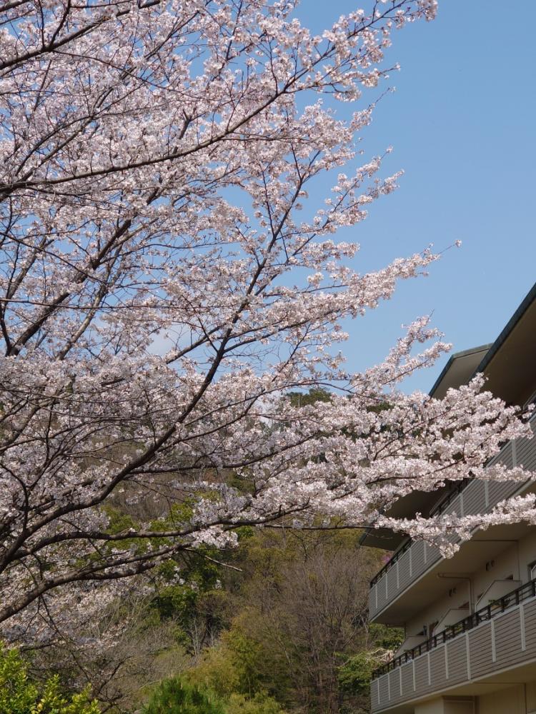 京都ヴィラ
