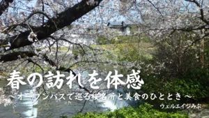 ウェルエイジみぶ