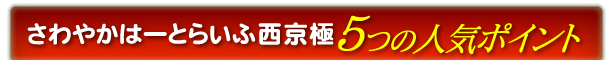 さわやかはーとらいふ西京極
