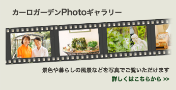 カーロガーデン大塚
