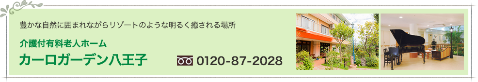 カーロガーデン大塚