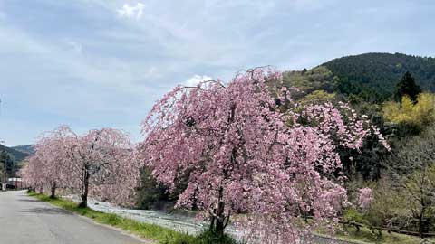 特別養護老人ホーム　レストフルヴィレッジ