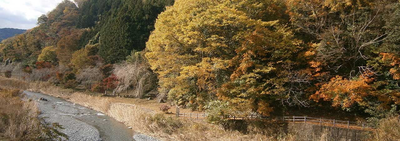 特別養護老人ホーム　レストフルヴィレッジ