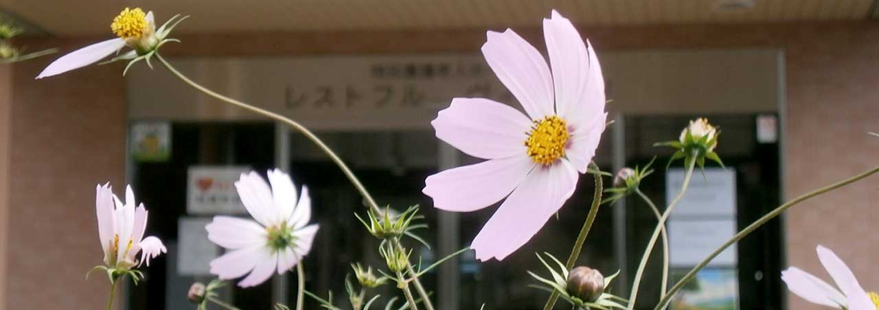 特別養護老人ホーム　レストフルヴィレッジ