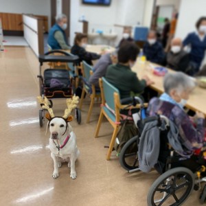 介護老人福祉施設　しいの木の郷