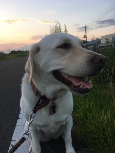 介護老人福祉施設　しいの木の郷