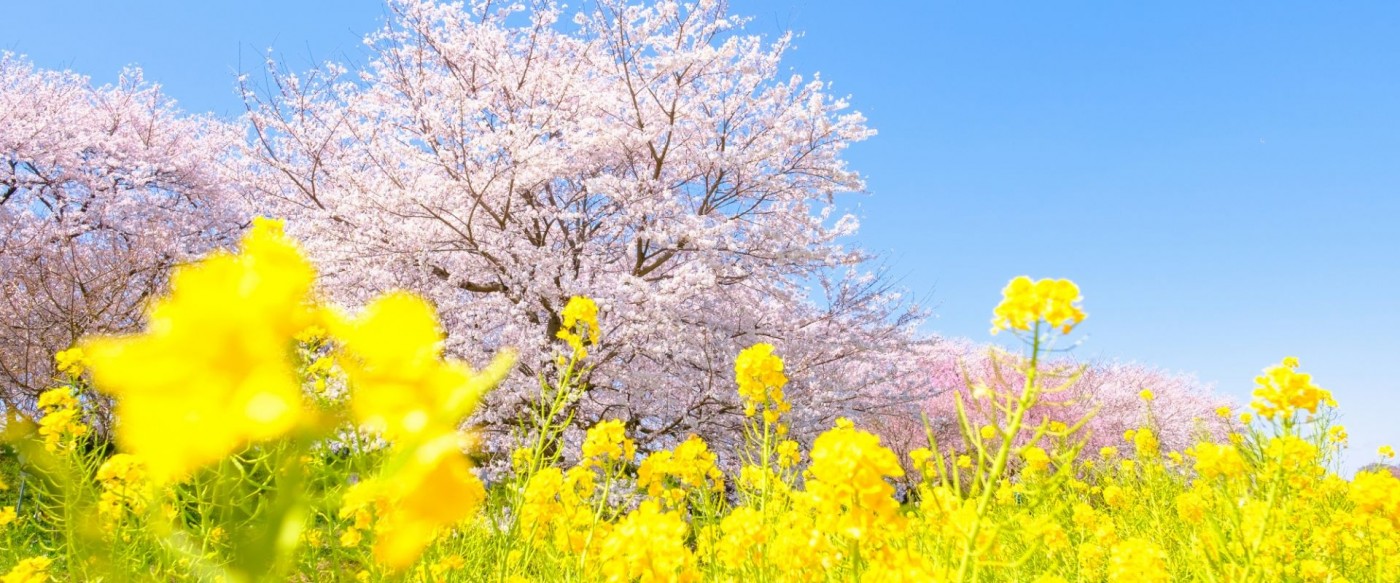 地域密着型介護老人福祉施設しらさぎ苑