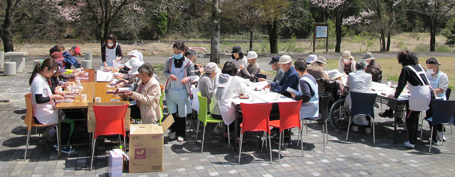 コスモス苑「仲良し」