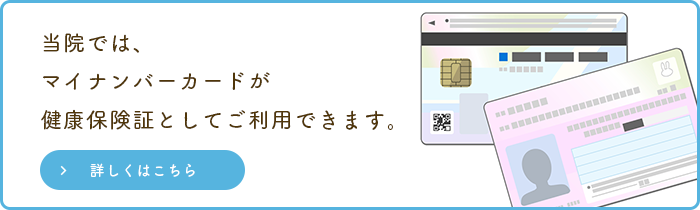 コスモス苑「仲良し」