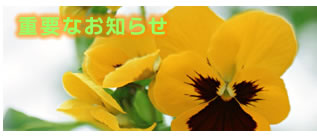 医療法人博我会グループホーム高石