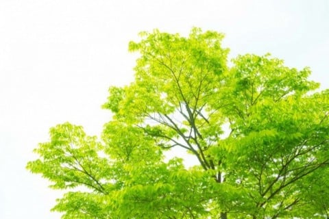 特別養護老人ホーム　かみのくに荘