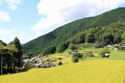グループホームやすらぎの郷